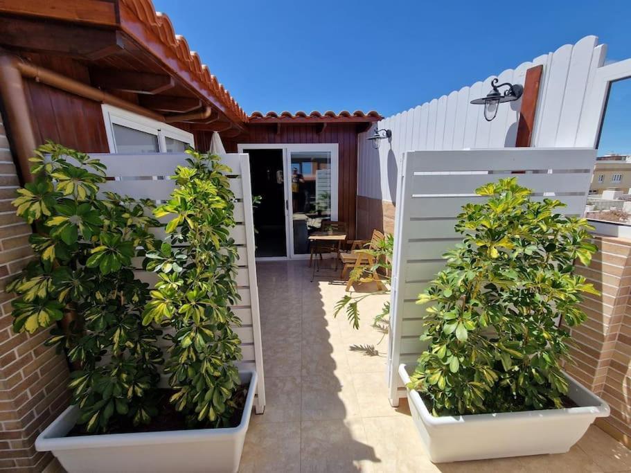 פוארטו דל רוסריו Vintage & Deluxe Apartments מראה חיצוני תמונה